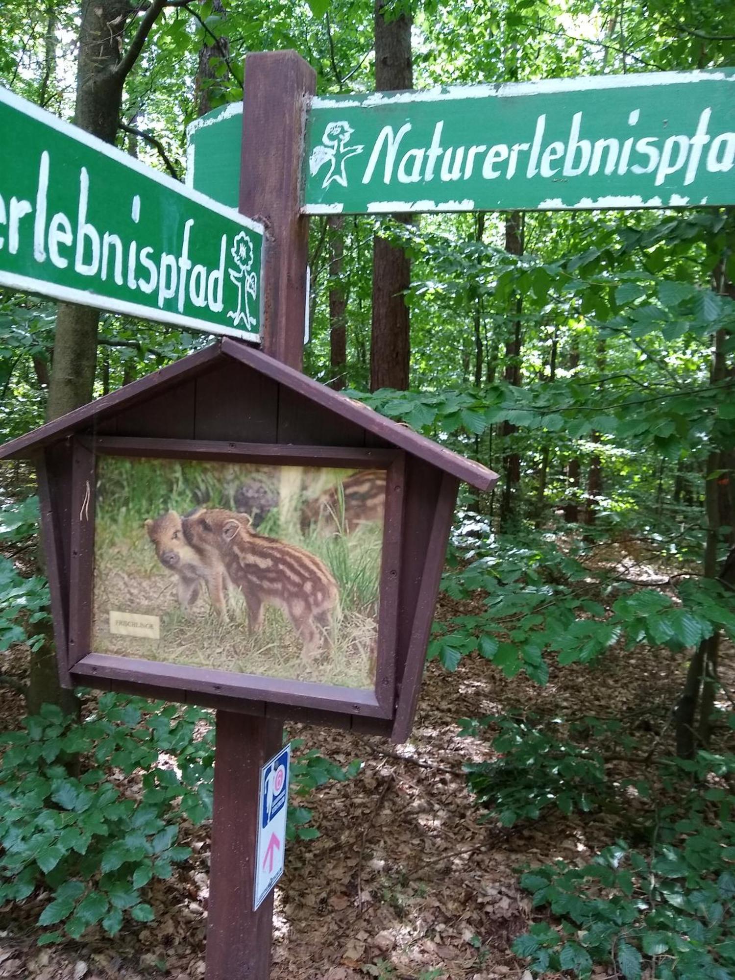 Zwei Seen Ferienhaus Canow Exterior foto